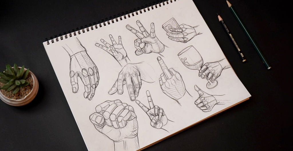 Anatomía de manos